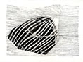 bild0104