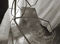 bild0105